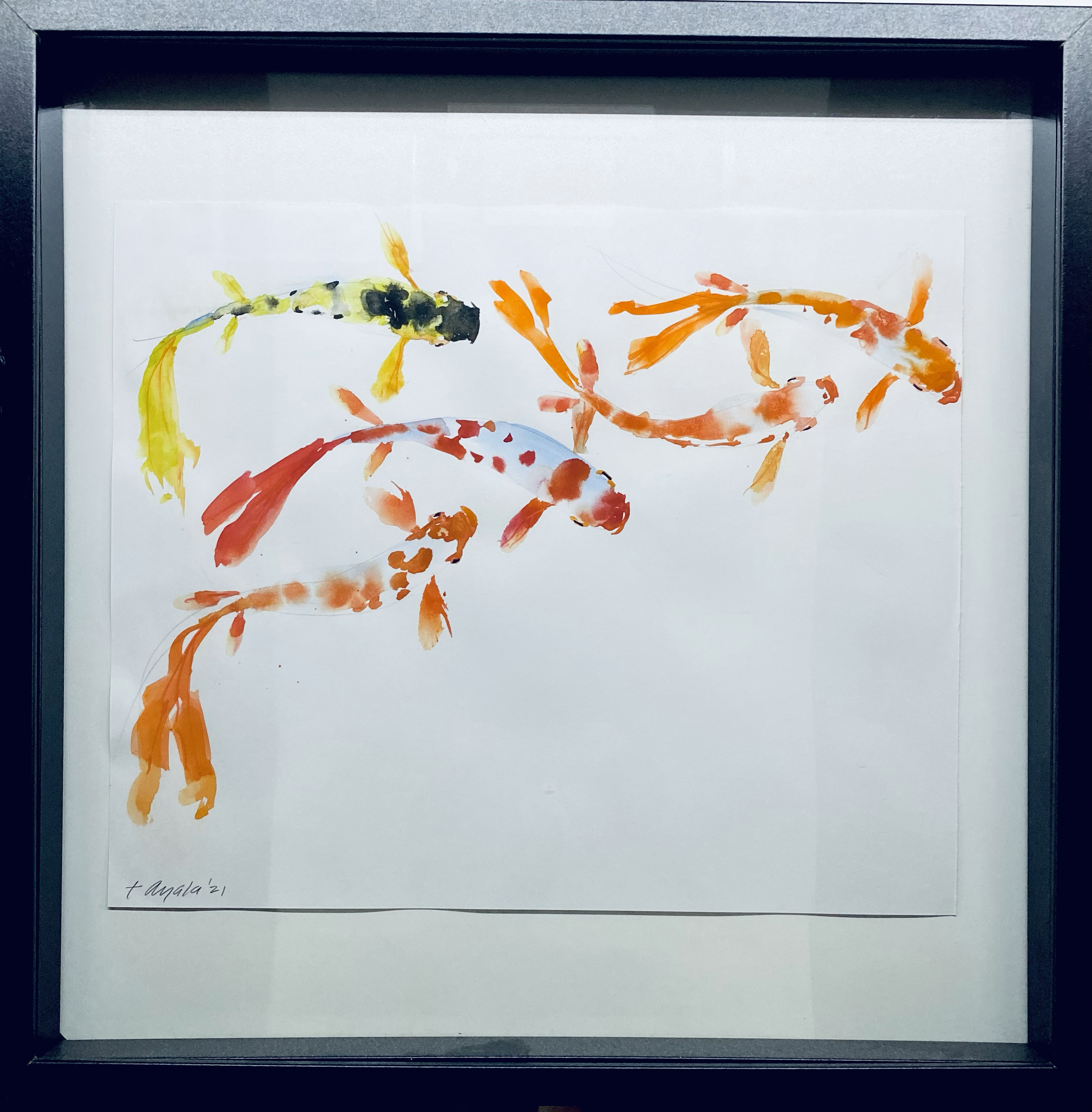 KOI No1 
| 21"x21"x2"D  MATTE BLACK FRAMED
