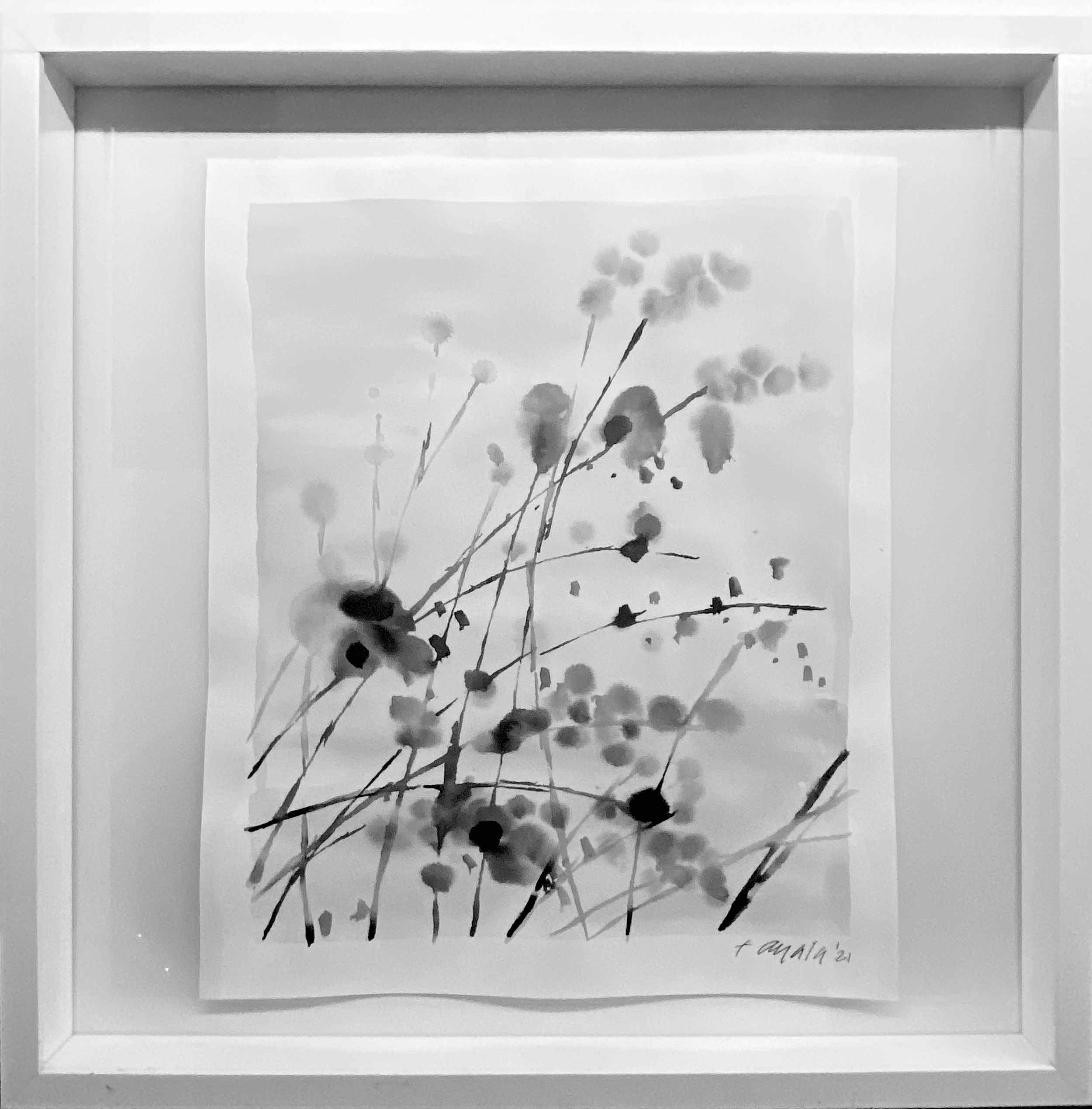 MEADOW BRUSH 
| 21"X21"X2" MATTE WHITE FRAMED | $400.