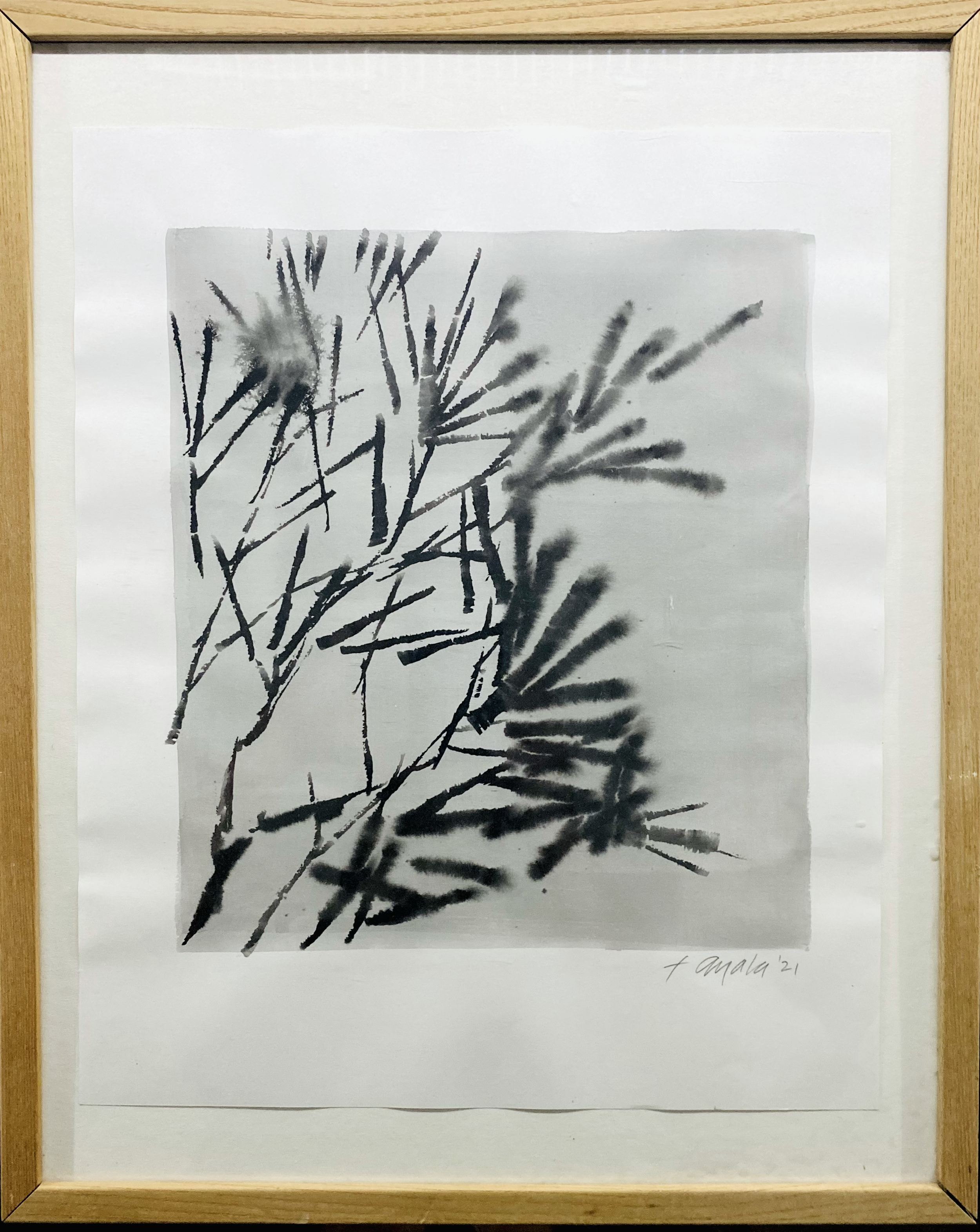 PINES 
| 17"X21"X3/4"
 | VARIETAL BOTANICALS
3/4"D  17X21" OAK FRAMED | SET OF 4 |
$2,000.