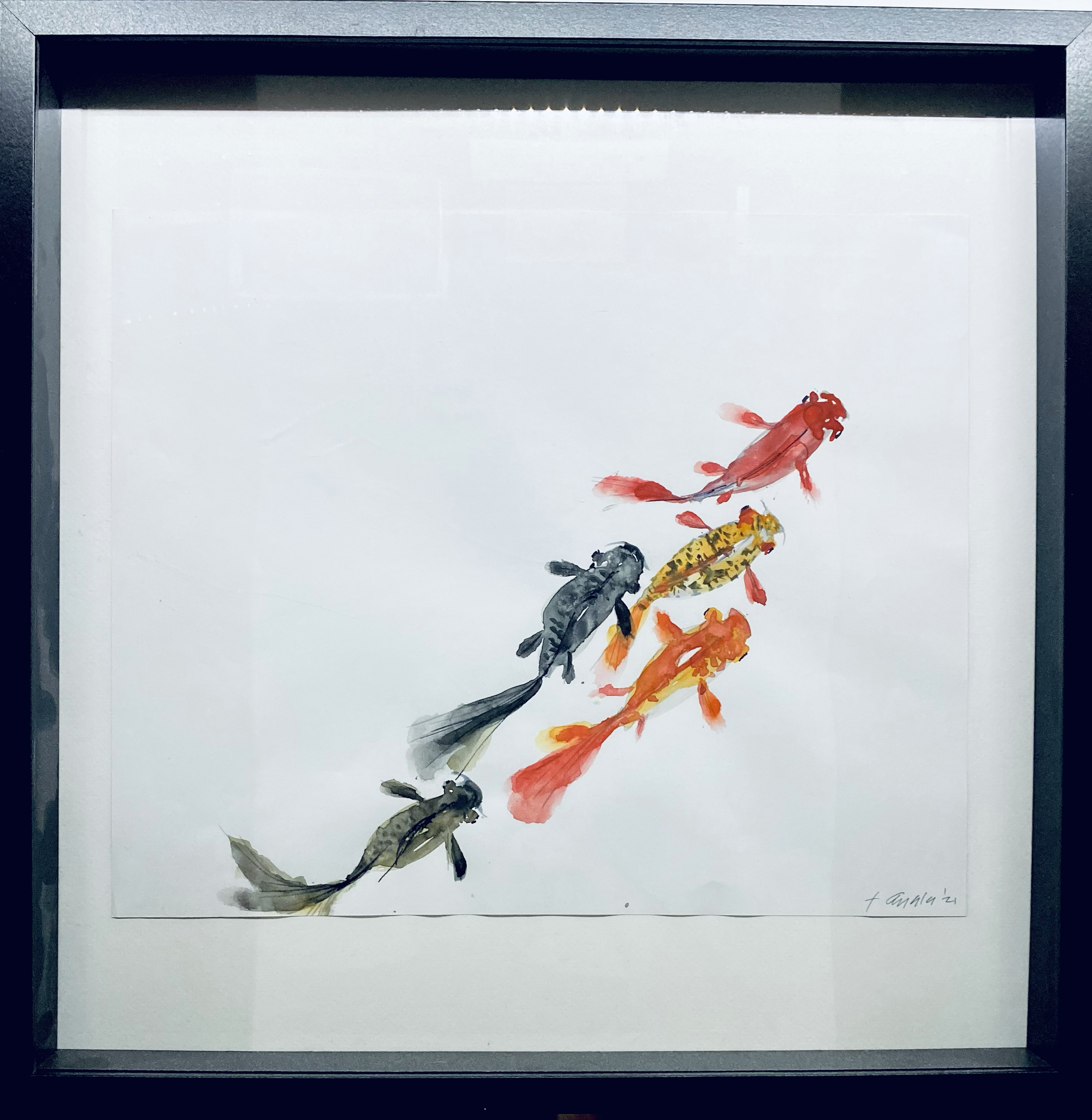 KOI No2 
| 21"X21"X2"D  MATTE BLACK FRAMED