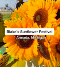 Blake's Sunflower Festival 