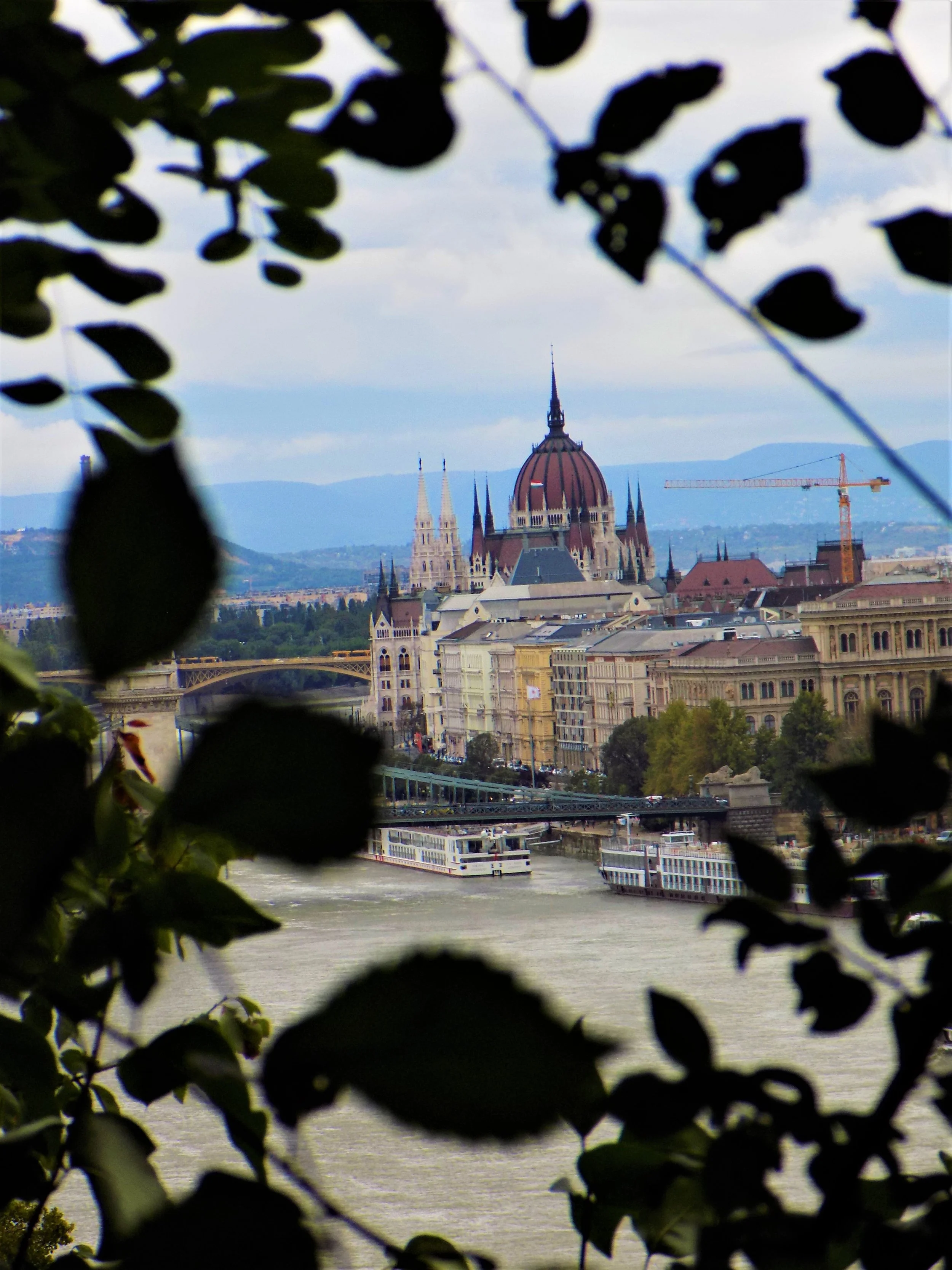 5EEC24D3-9333-4022-9591-A6EA615AC857.jpeg