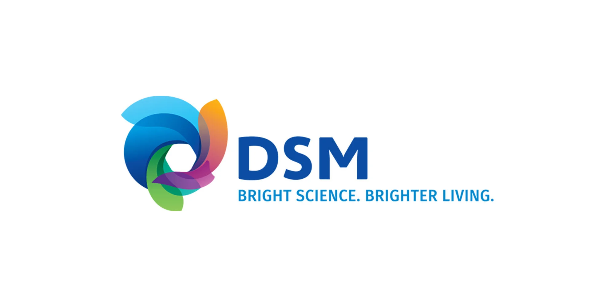 Logo-DSM.jpg