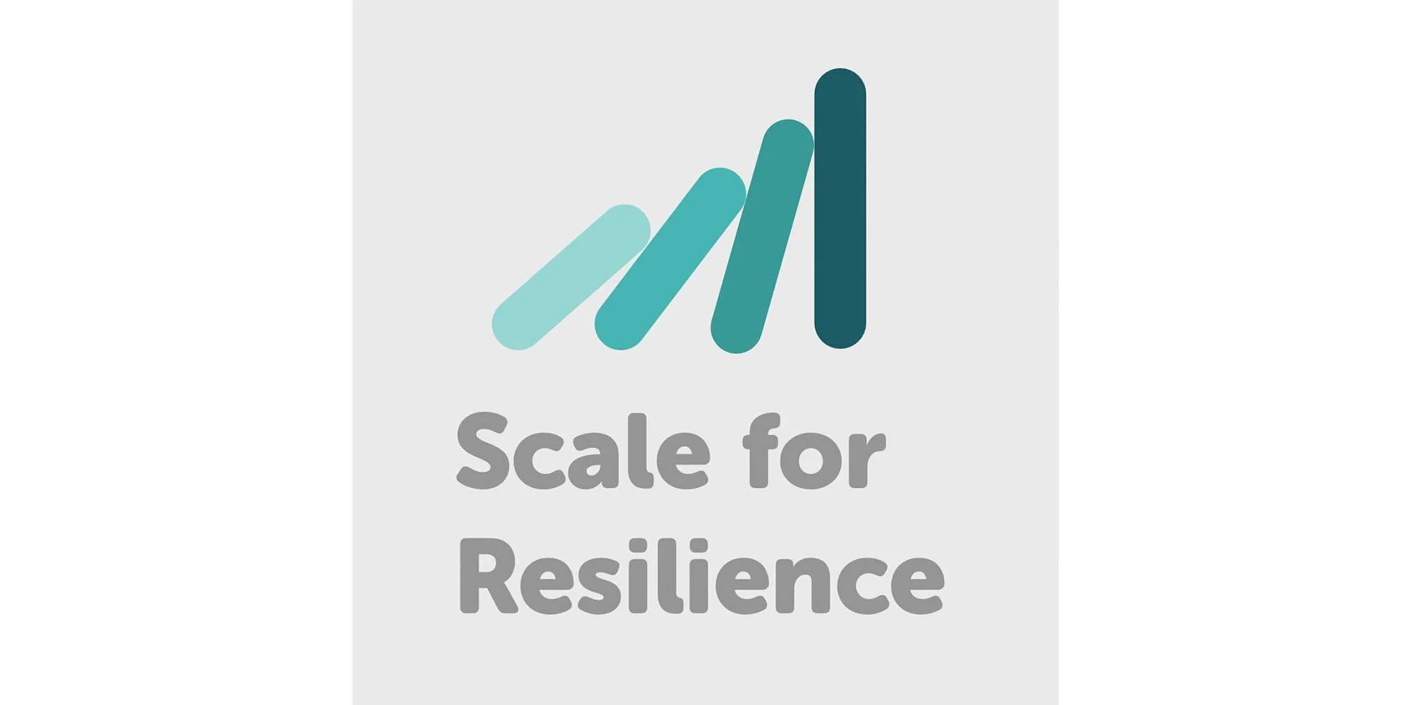 Logo-Scale-for-resilience.jpg
