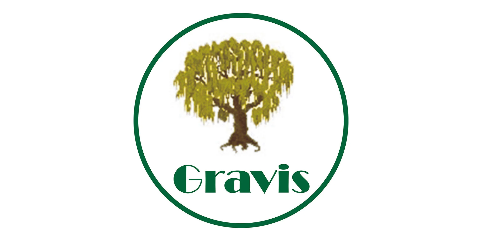 Logo-Gravis.jpg