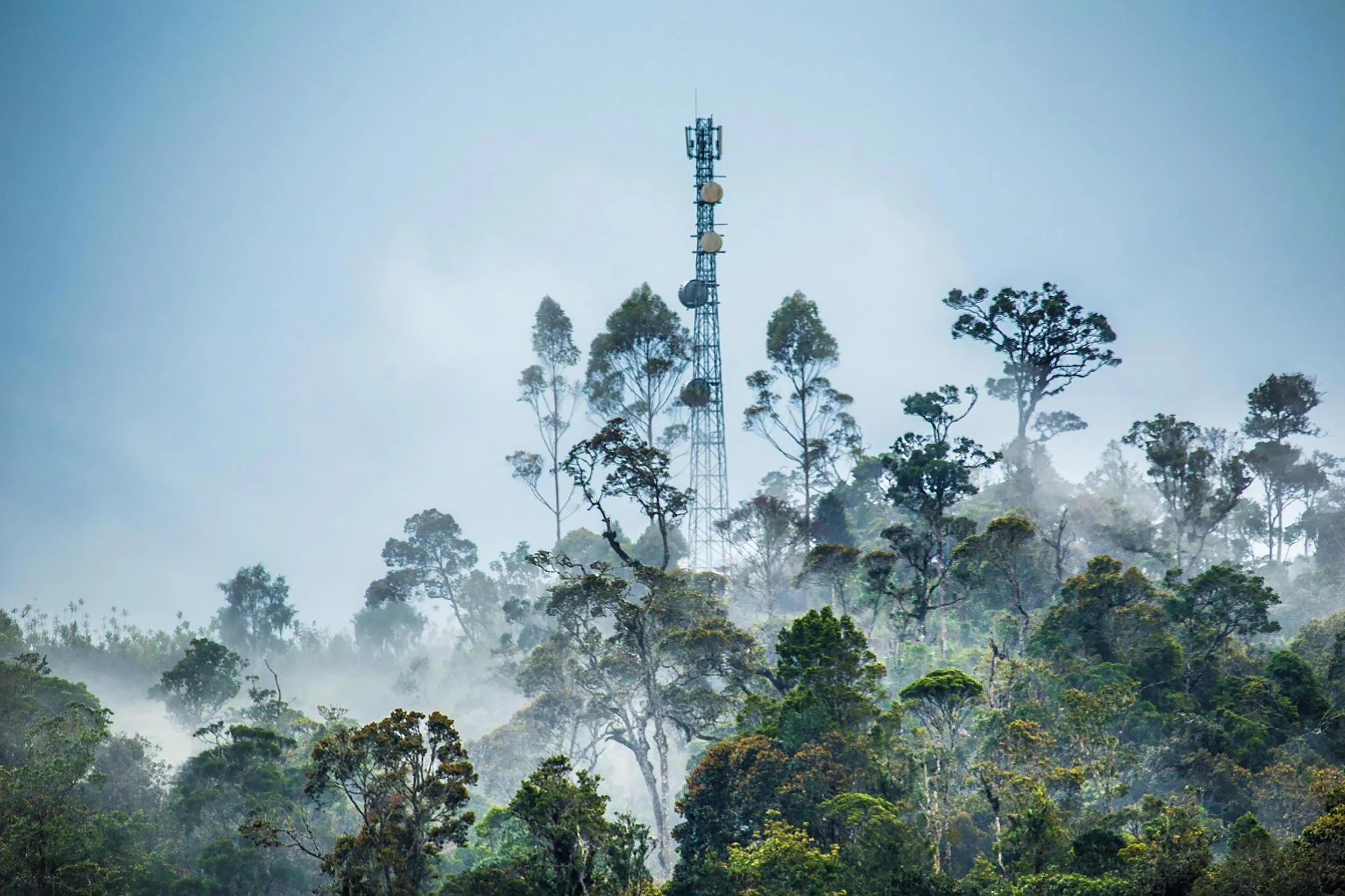 Closing the weather data gap using mobile networks