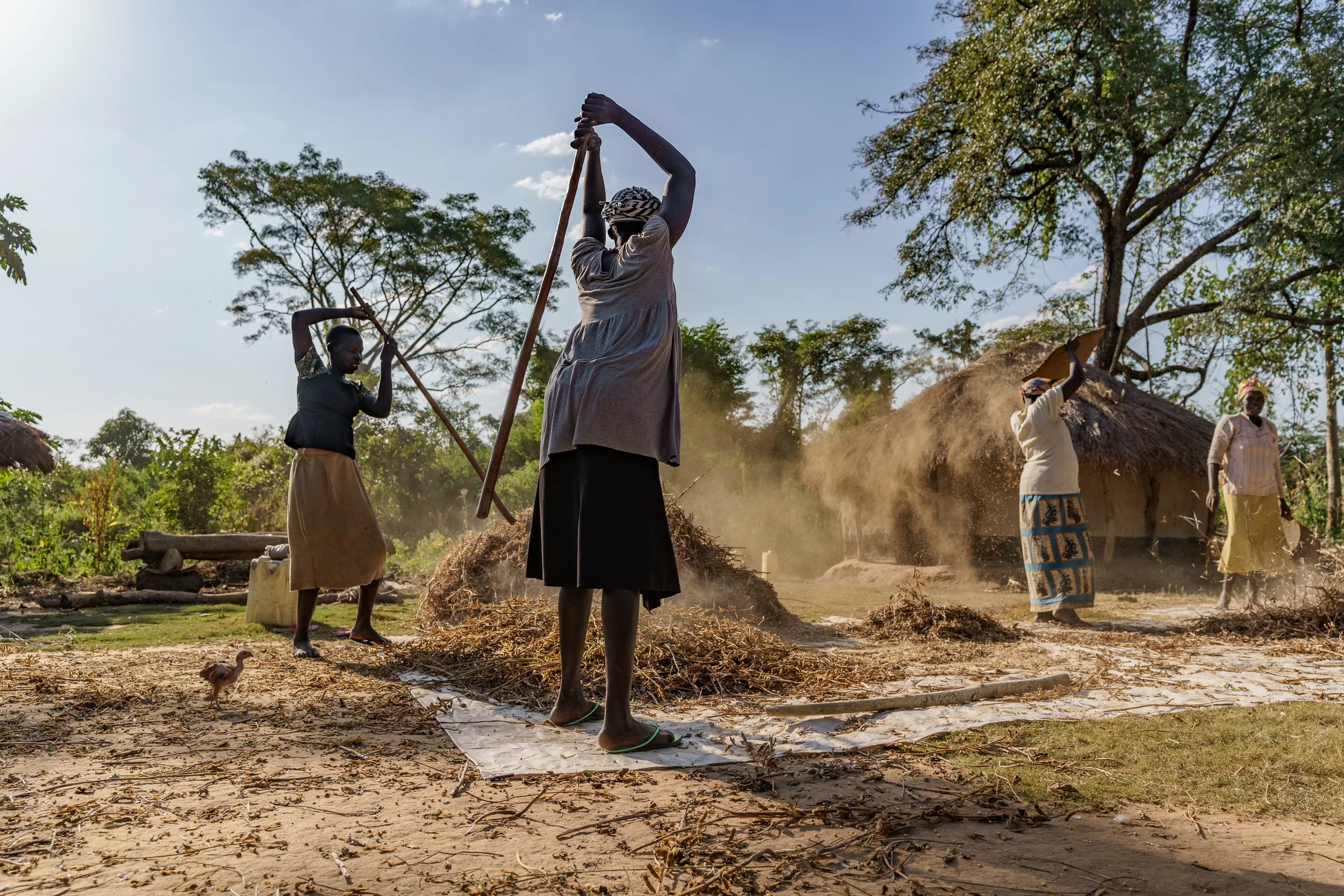 Promoting integration of renewable energy and energy efficient technologies in agricultural value chains in East Africa