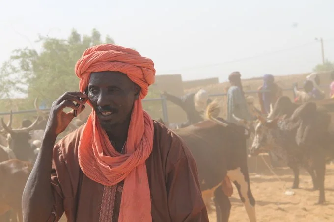 guiding pastoralists in the sahel using satellites