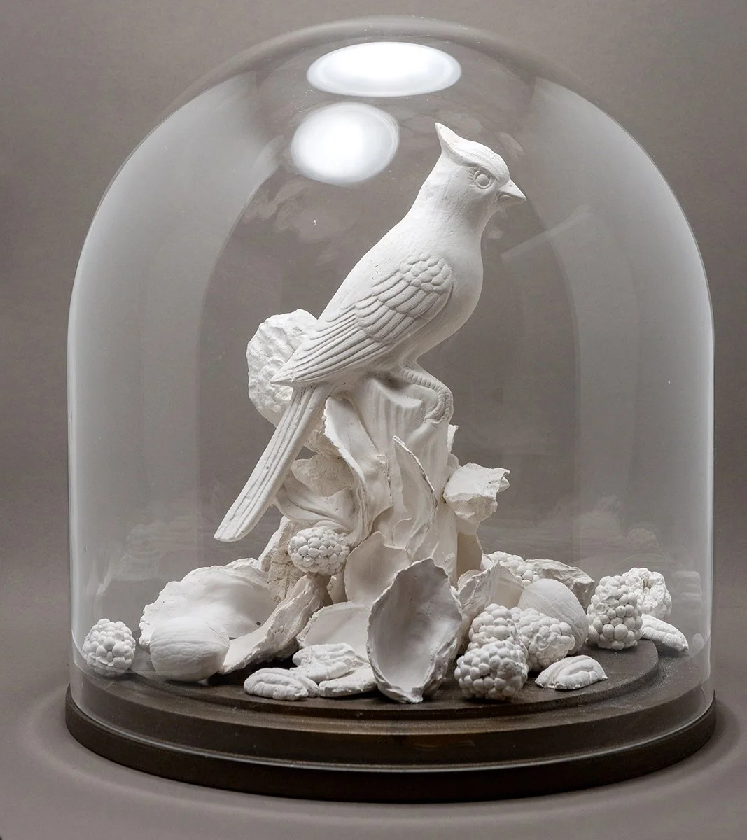 Haskell's Cardinal, plaster and glass on wood base, 10x10, 2025