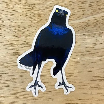 Terry sticker web.jpg