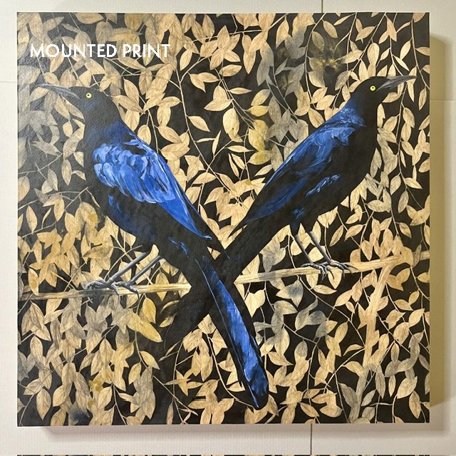 24x24 Double Grackle Eclipse Archival Print