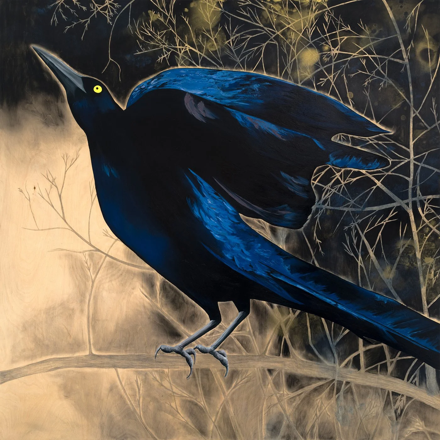 Victory Grackle web.jpg