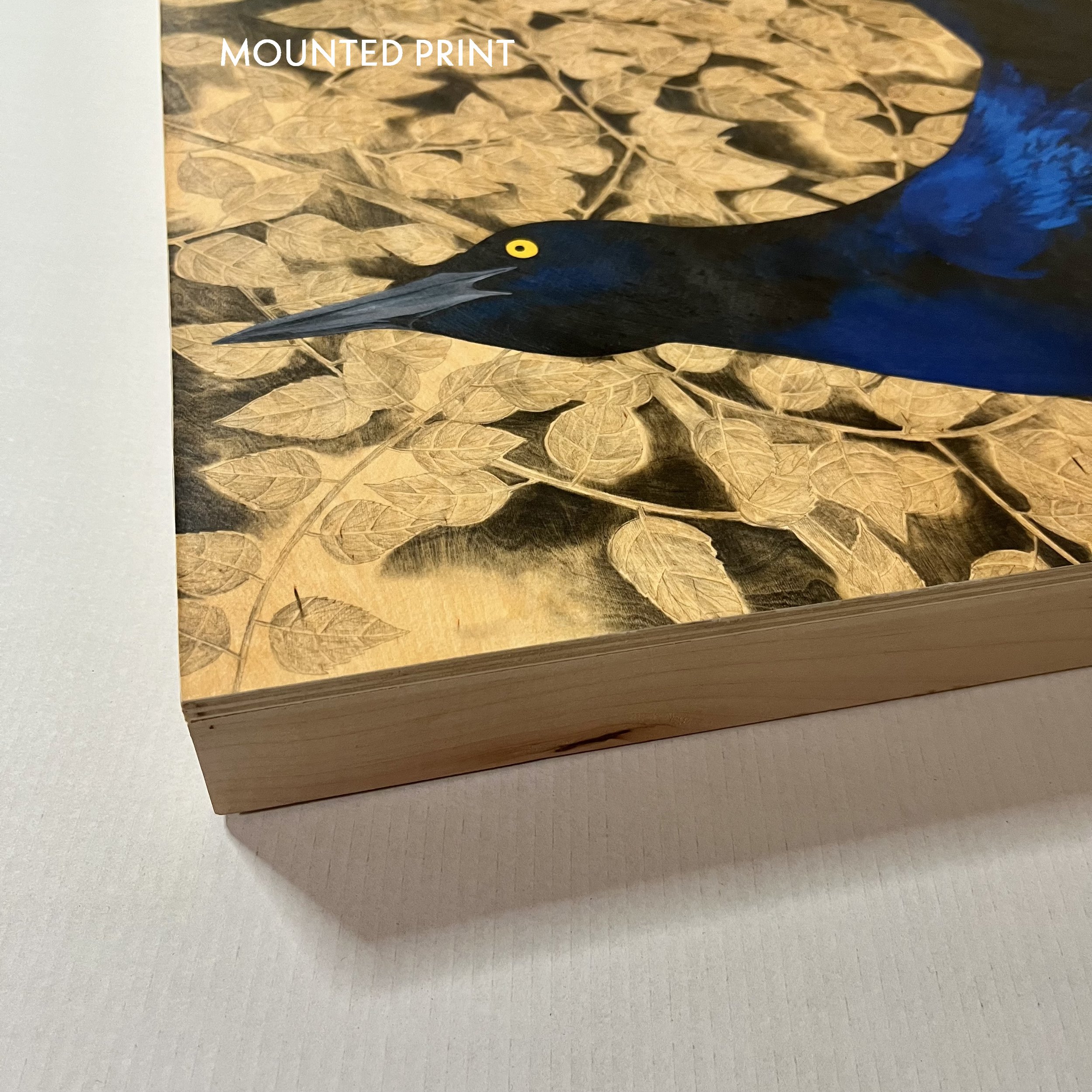 MAP-Policy corner.jpg