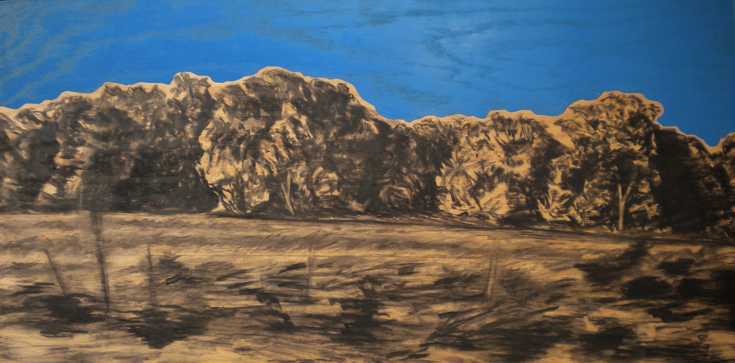 Landscape #14 LG.jpg