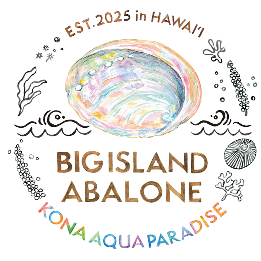 Big Island Abalone
