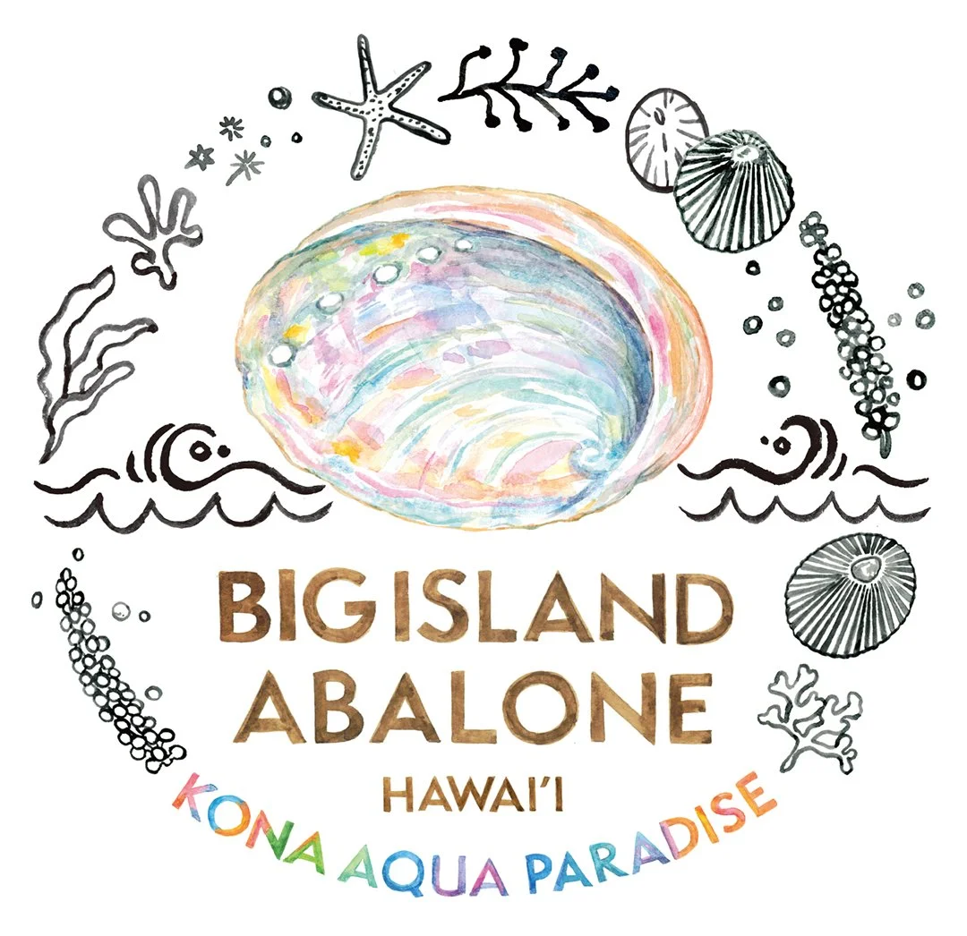 Big Island Abalone