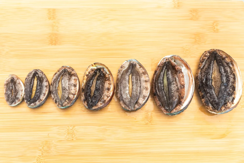 All Products — Big Island Abalone