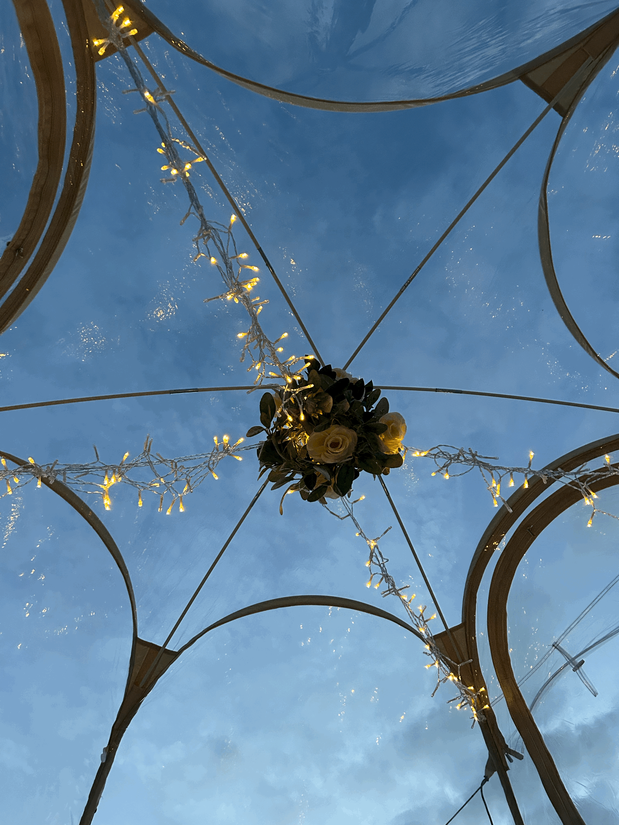 tempImageqQrvA9.gif