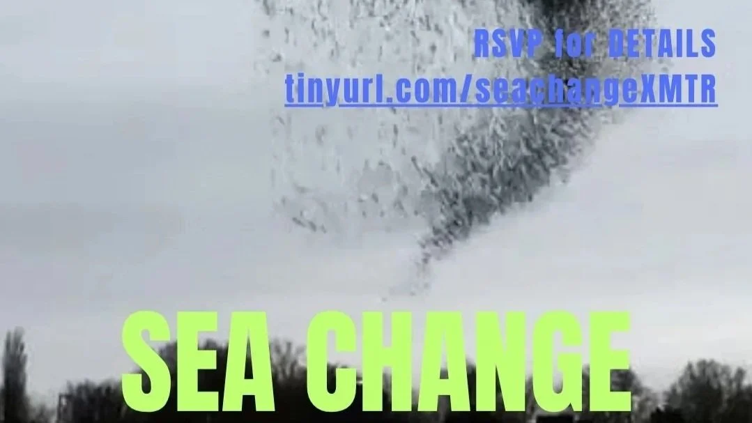 Sea Change Audio Swarm - Kalli Anderson