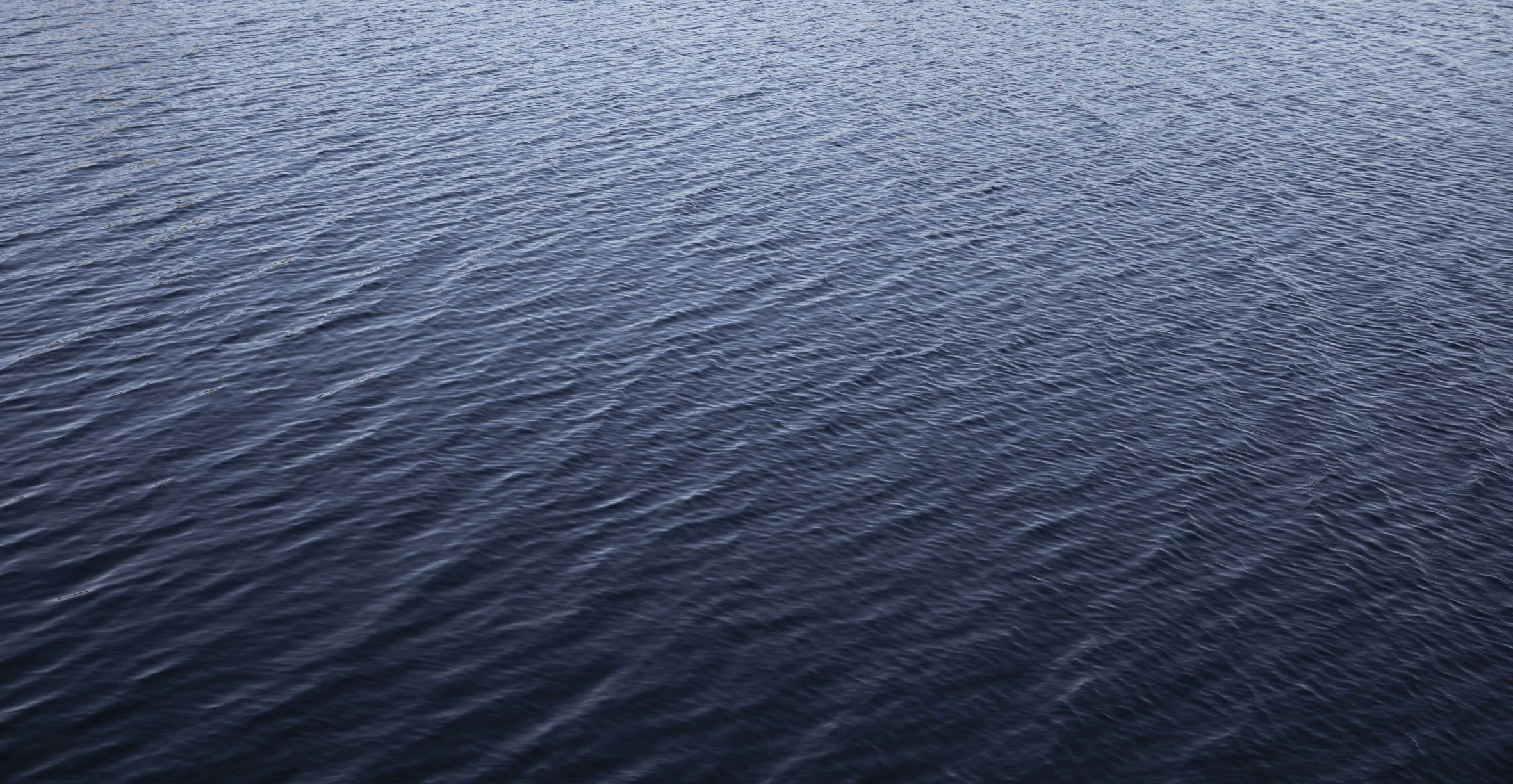 Stand at the shoreline and listen - Katharina Smets + Katherina Lindekens