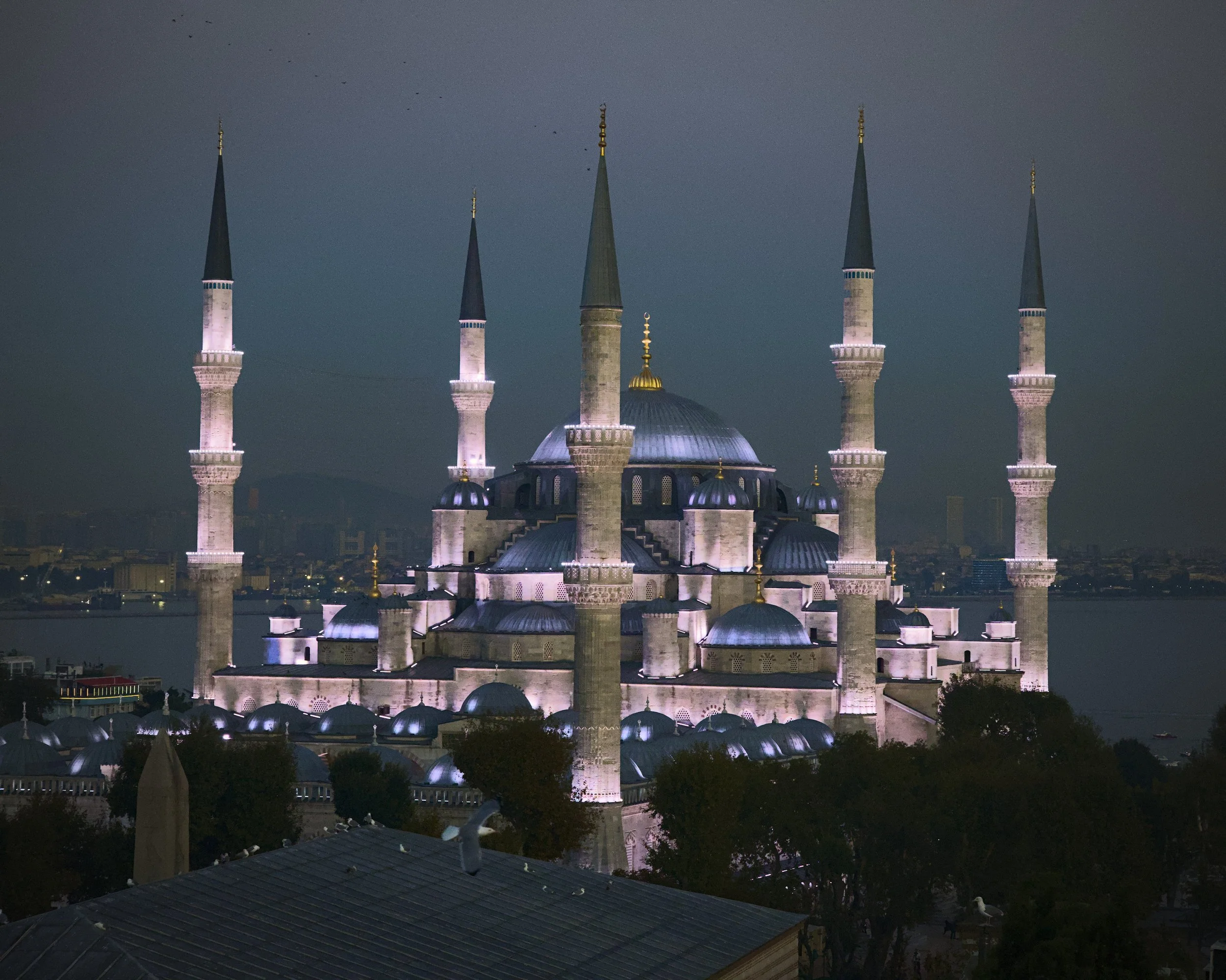 The iconic Blue Mosque at blue hour.