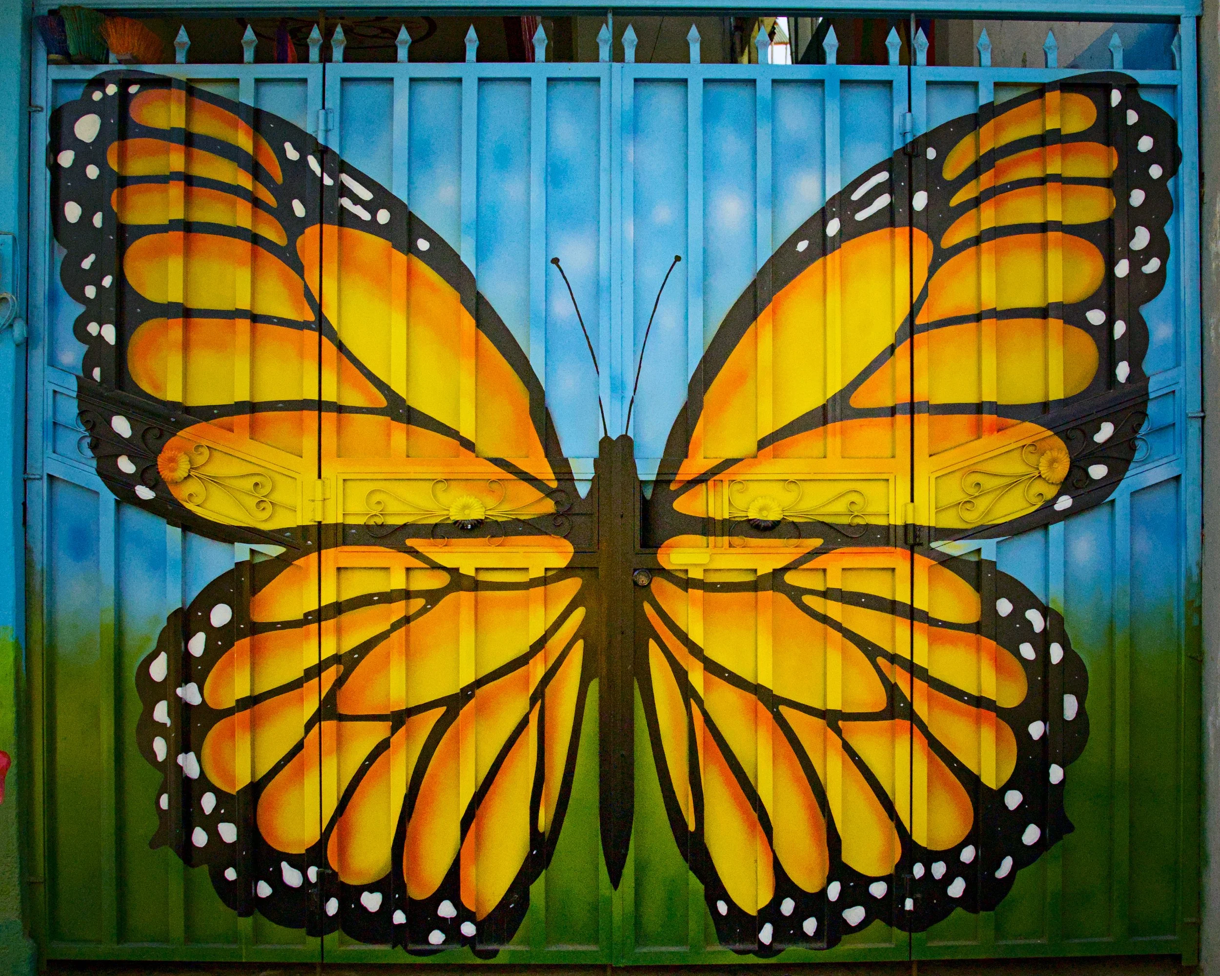 Butterfly effect in San Pedro.