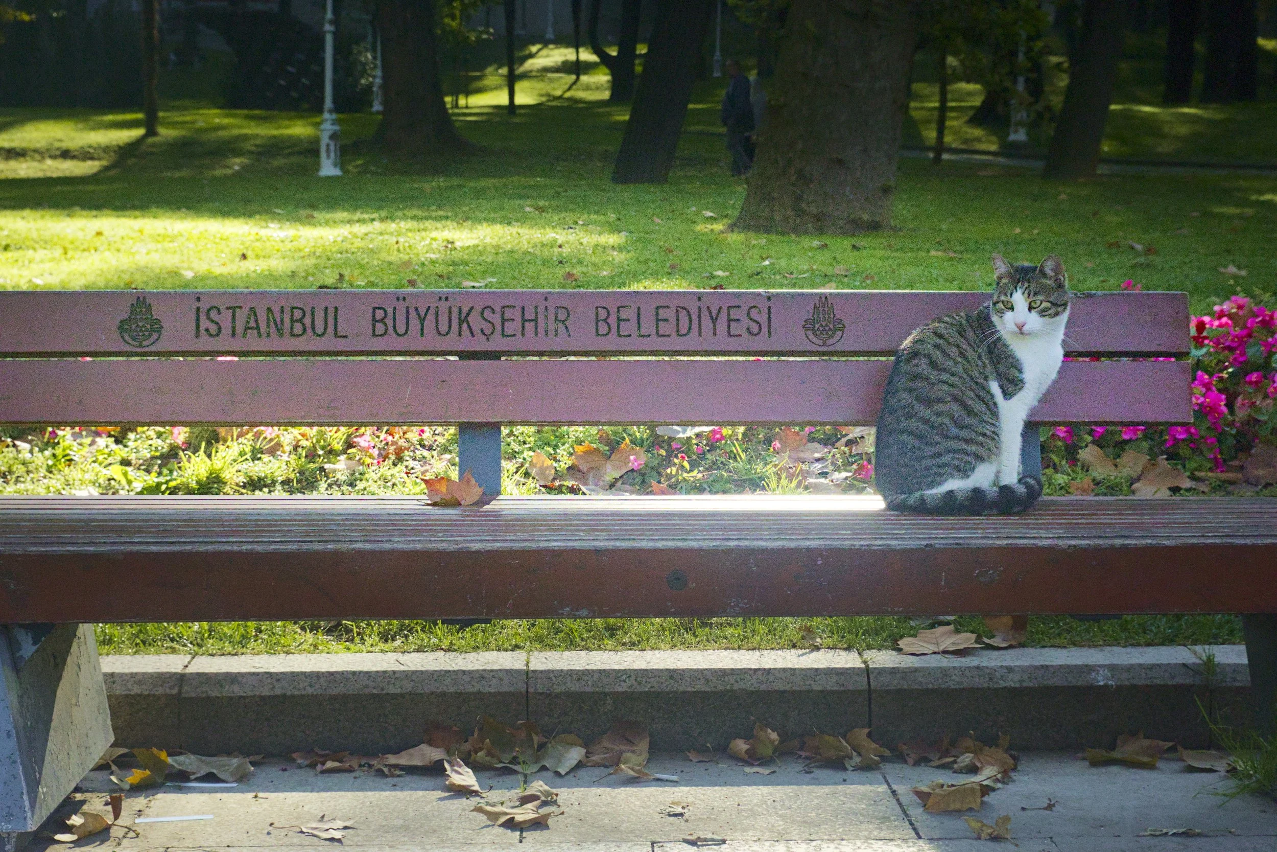 A local takes a load off in Gülhane Park.