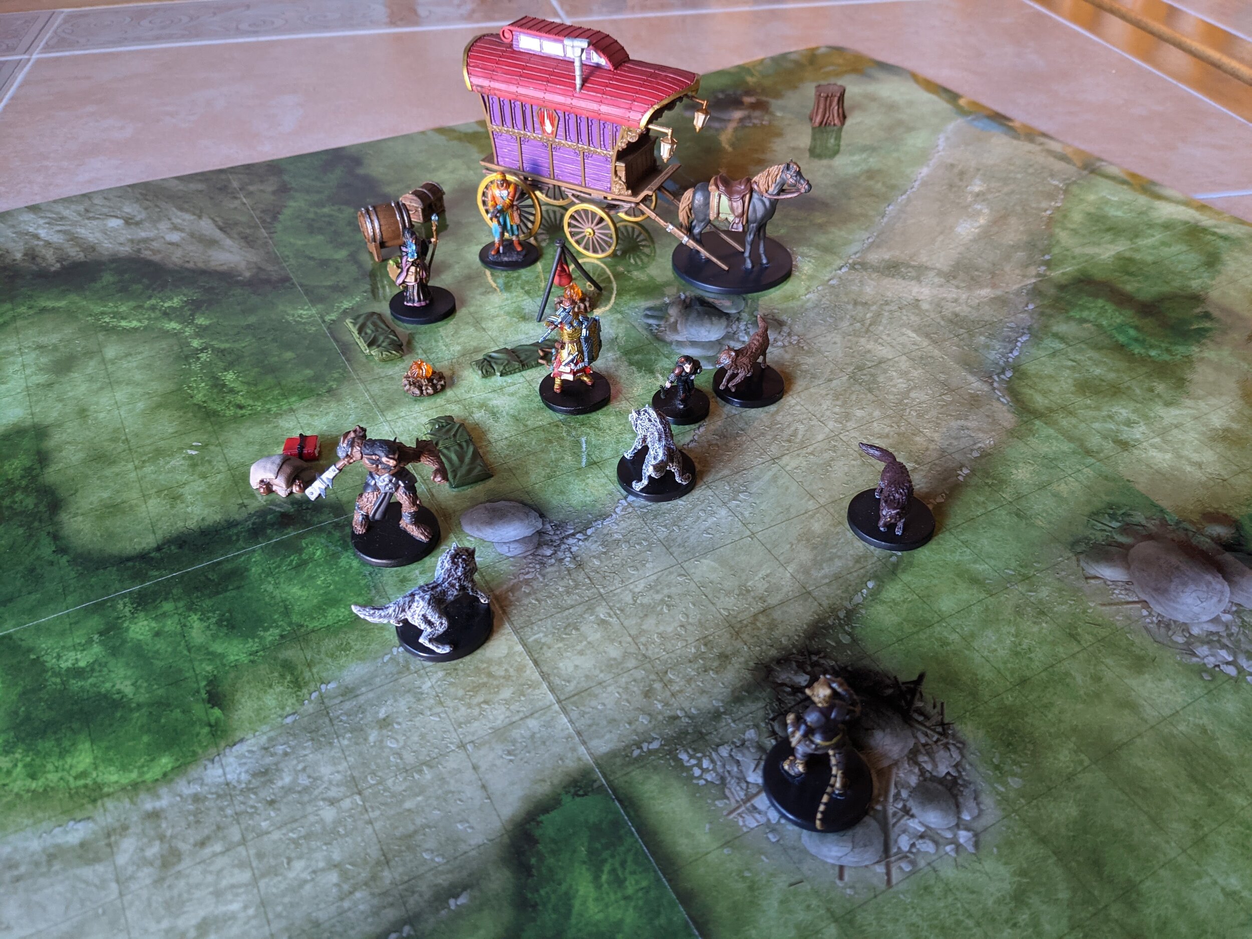 Wolf_Fight_4.jpg