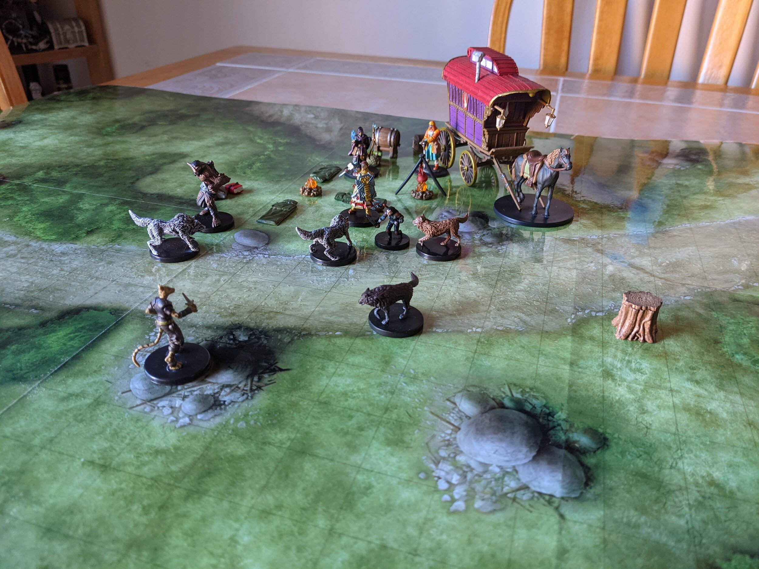 Wolf_Fight_7.jpg