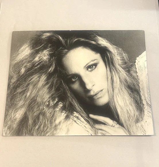 088_Rank_088_Lot_595h_Vintage_Francesco_Scavullo_gelatin_photograph.jpg