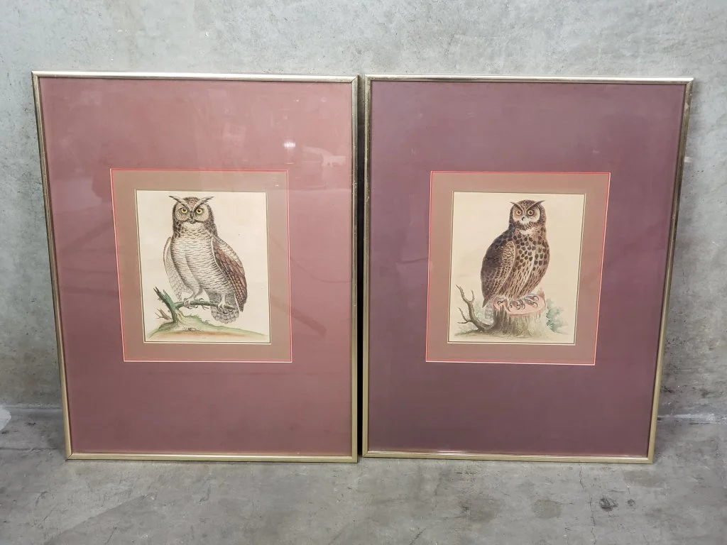 146 - Lot 188 - Pair of vintage George Edwards hand colored.jpg