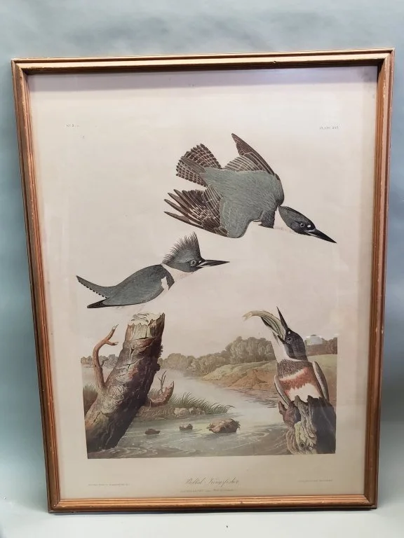 010 - Lot 163 - Antique chromo-lithograph of John James Audubon's.jpg