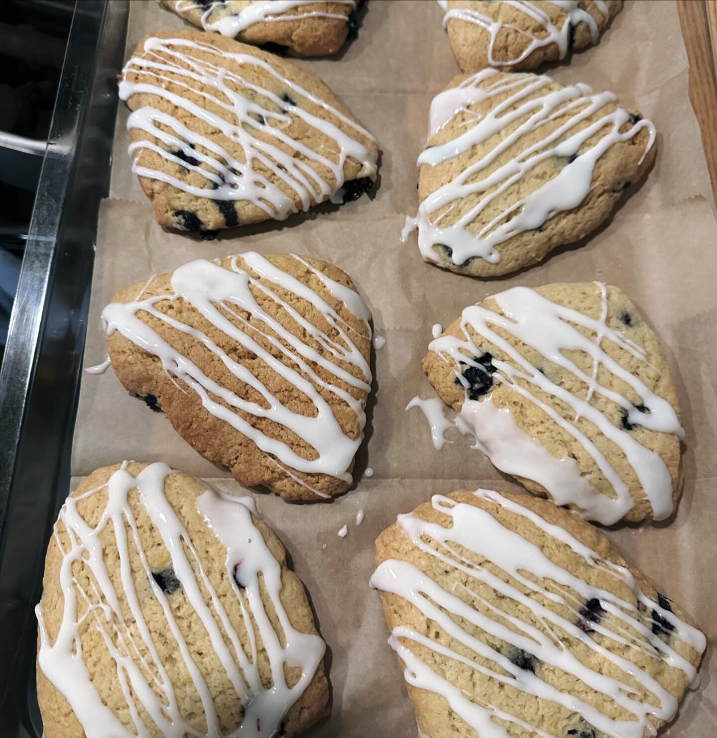 Some OG vegan blueberry scones- if you want them you gotta get your waders on and earn them😁 🌧️ ☔️