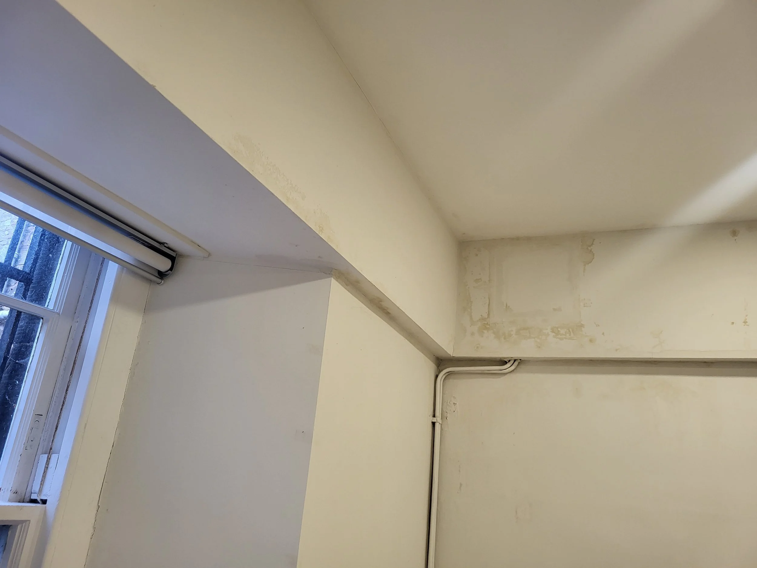A corner of a room with a beige painted wall and ceiling, showing signs of discoloration and damage near the window and along the wall and ceiling edges. The window has white trim and a partially rolled-up white window shade, with some visible outdoor trees.