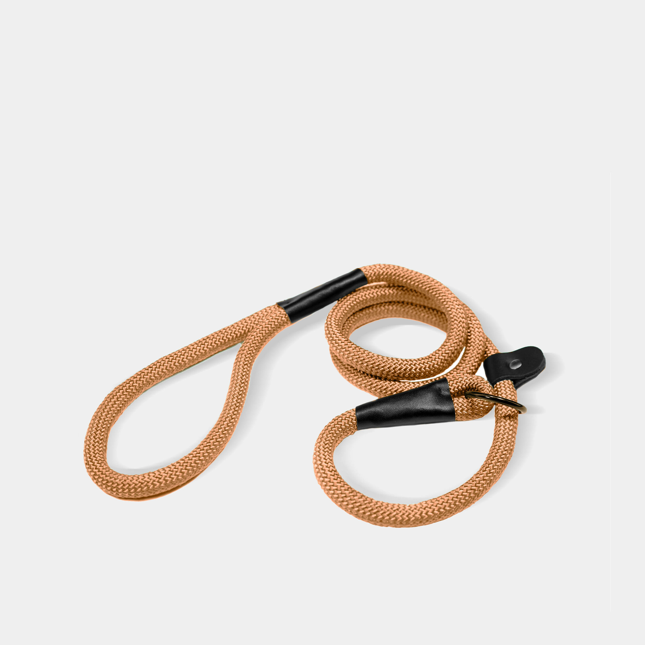 Campi dog leash in orange