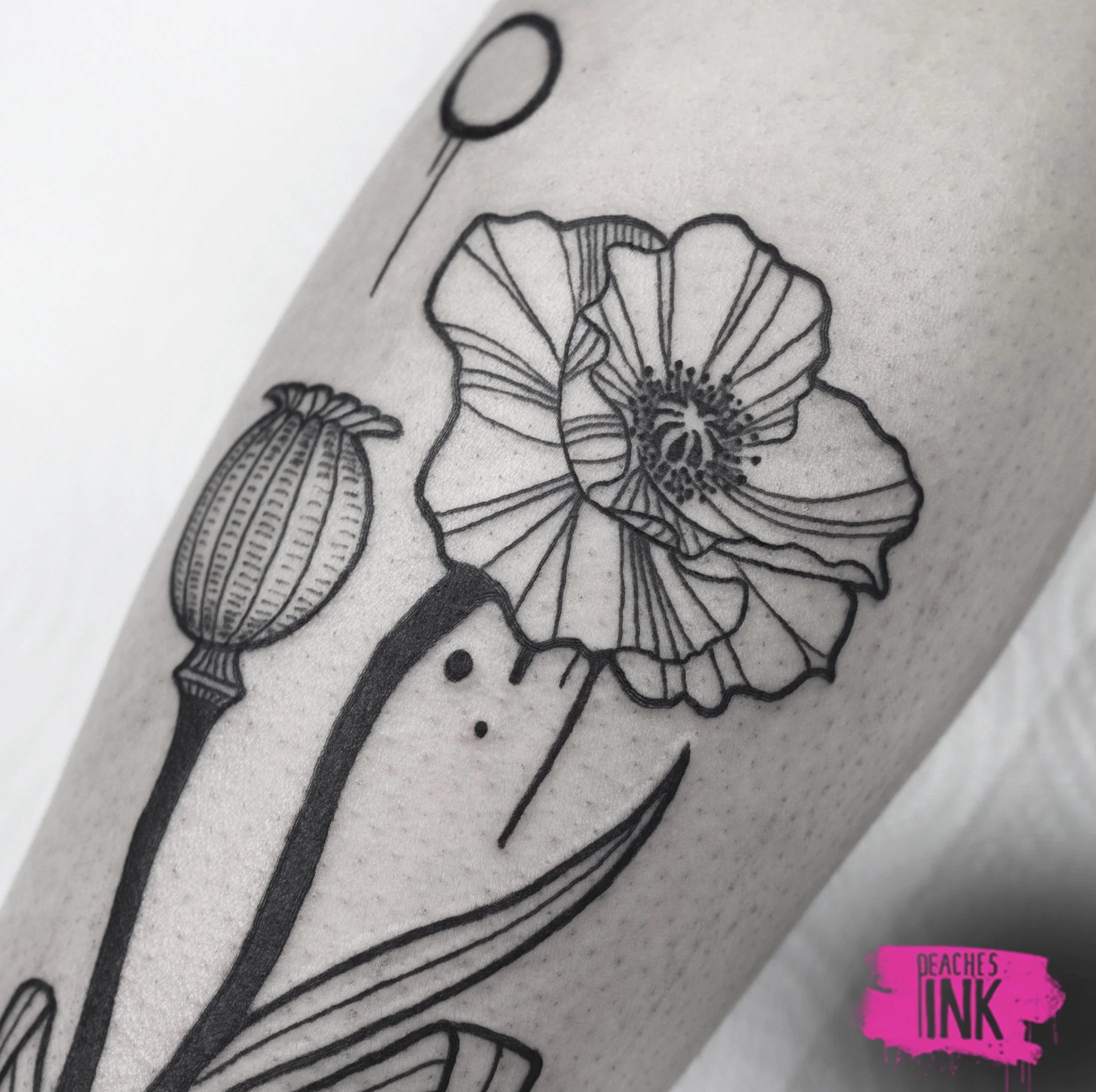 poppy close up two.jpg