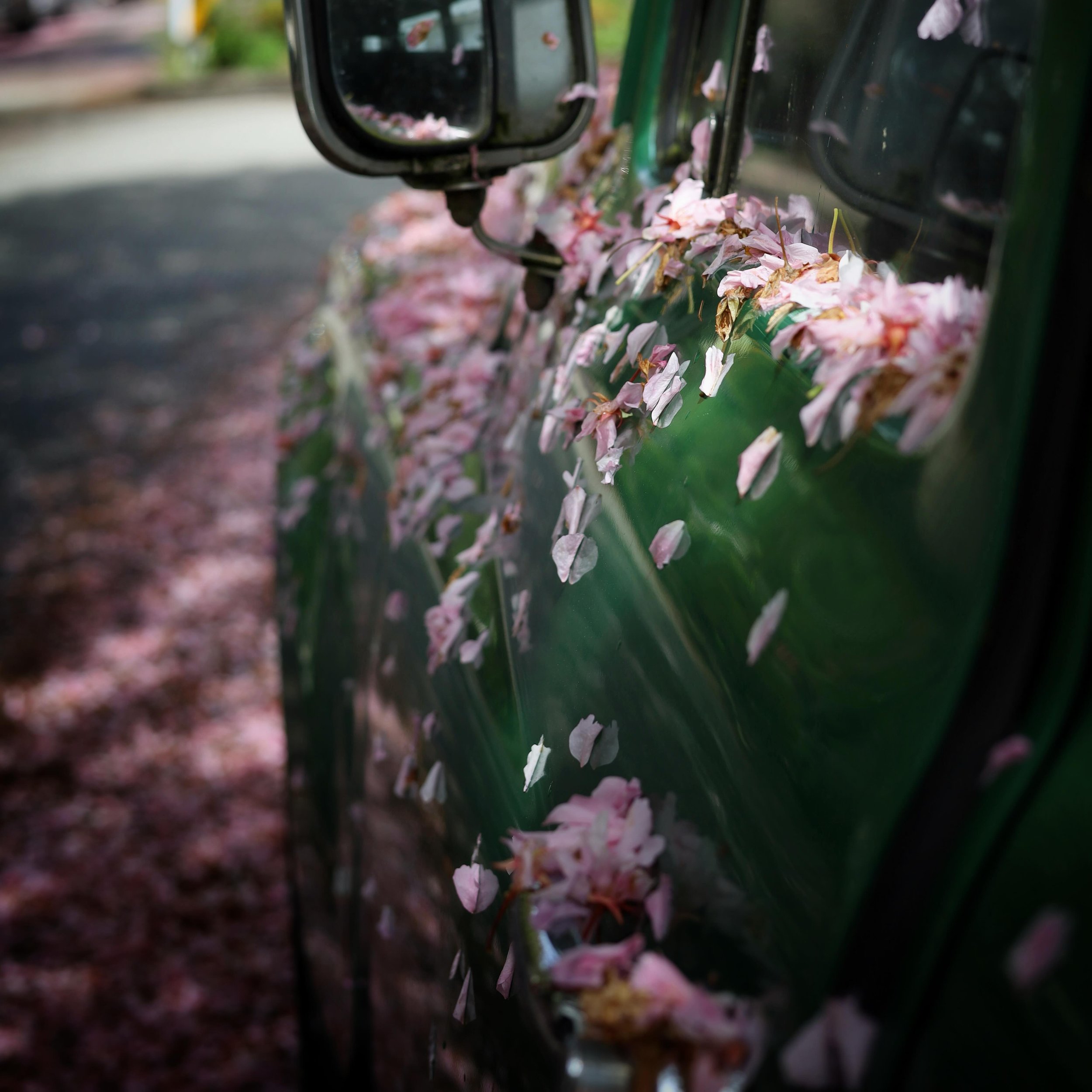 #spring #cherryblossom #smalljoys #beauty