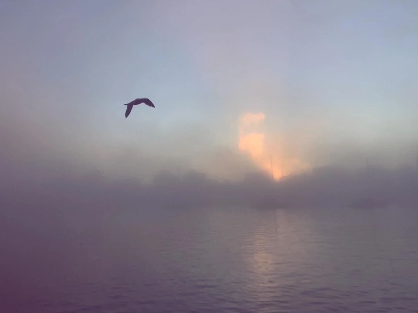 Everything is on fire,
but everyone I love is doing beautiful things
and trying to make life worth living,
and I know I don&rsquo;t have to believe in everything,
but I believe in that.

- Nikita Gill
.
.
#beauty #love #community #visualpoetry