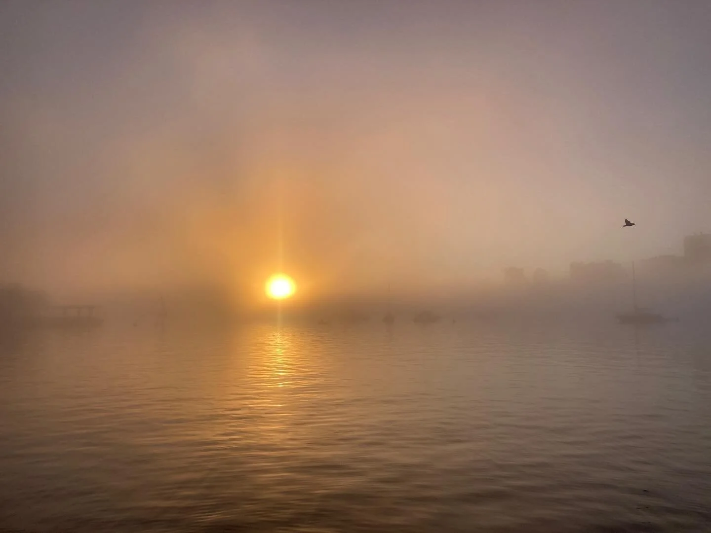 A beautiful start to my first day of work in 2025. Wishing for more light, presence, and compassion as I start the day and of course more laughter, always more joy and laughter. With love. ❤️🧿 
.
.
.
#2025 #newday #morningfog #vancouver #visualpoetr