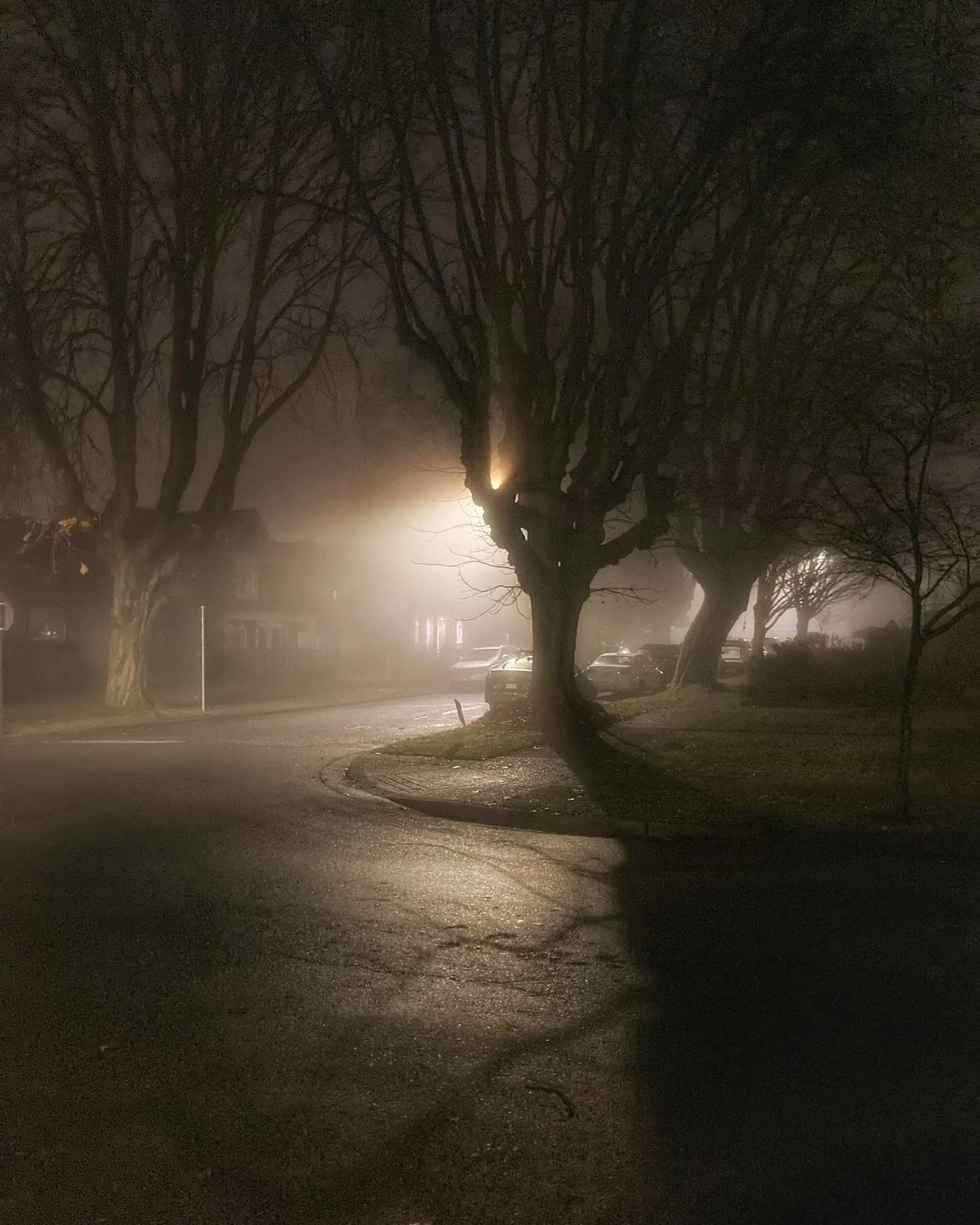 &ldquo;The world is full of magic things, patiently waiting for our senses to grow sharper.&rdquo;
― W.B. Yeats

#eastvan #fog #visualpoetry #vancouver
