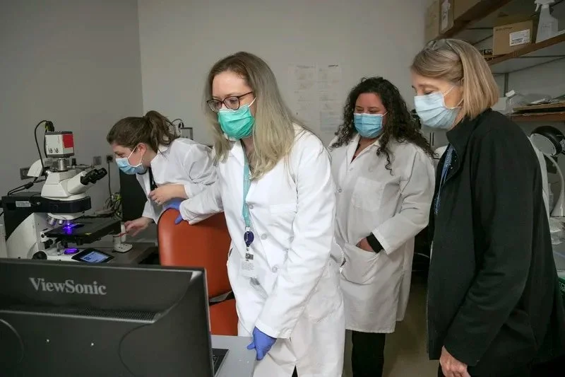 Davis Englund Lab The Davidson Lab