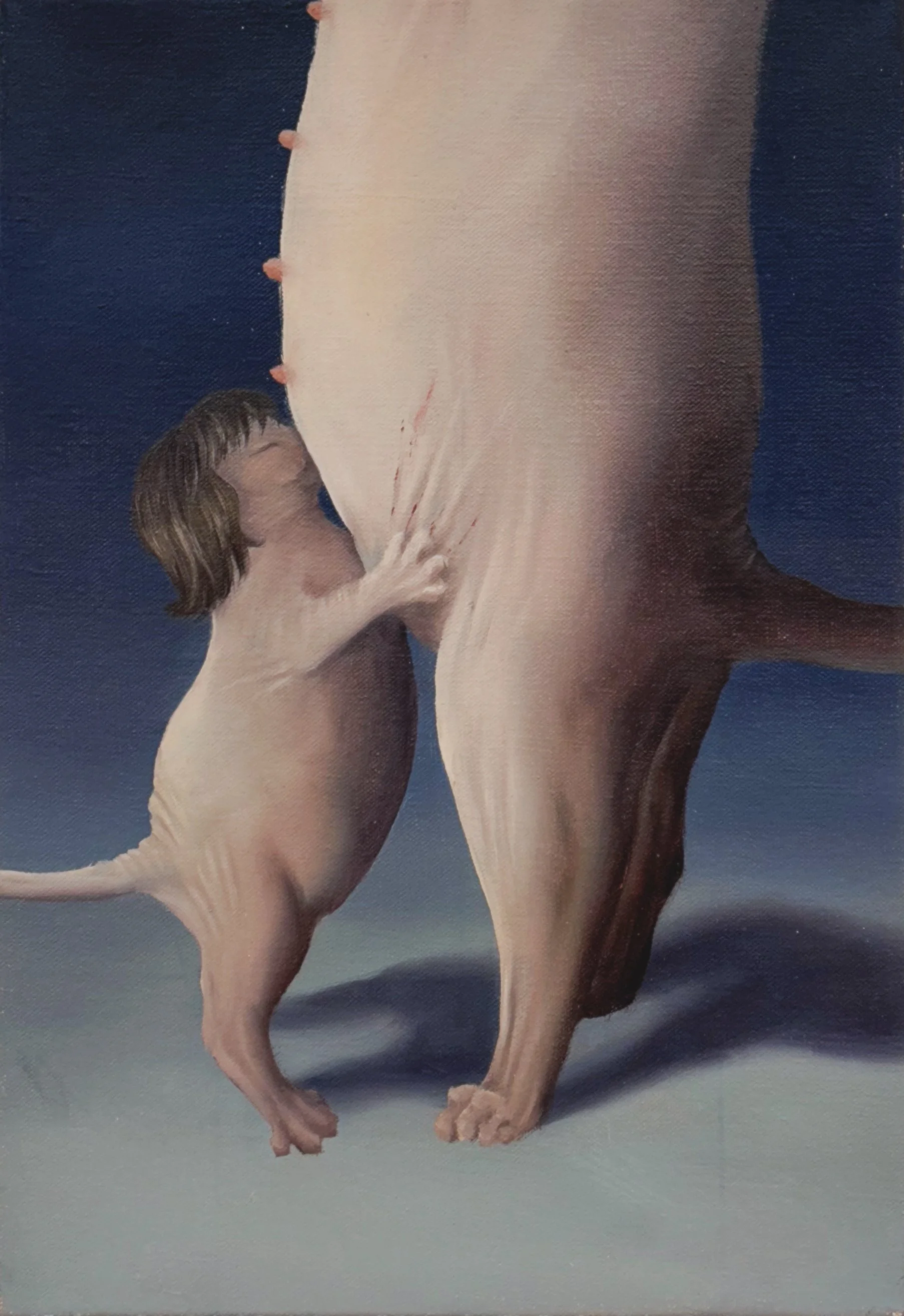 Biscuits, biscuits, 2025, 16 x 11 in, Oil on canvas.jpg