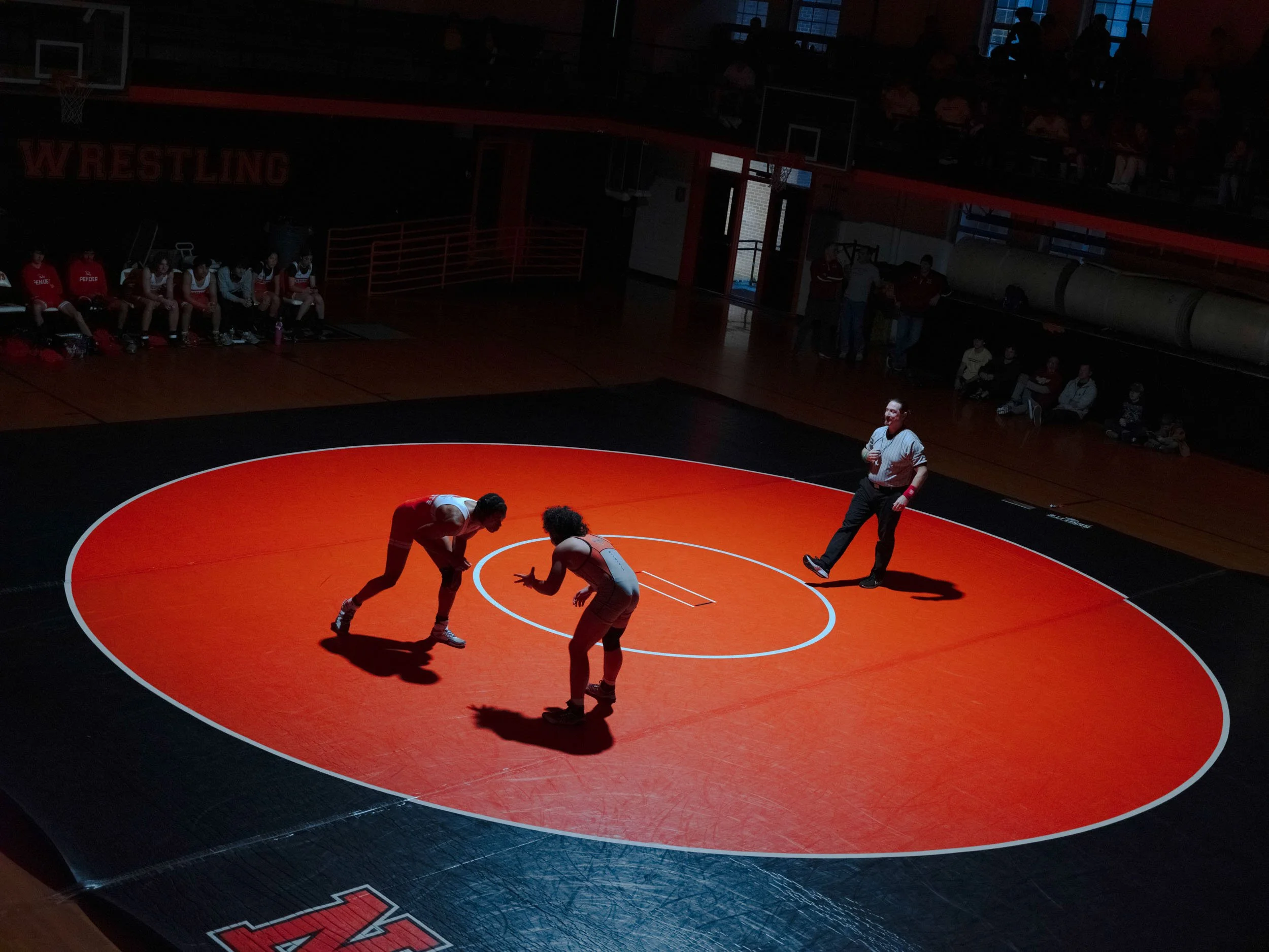 Wrestling II, 2024, 30x40.jpg