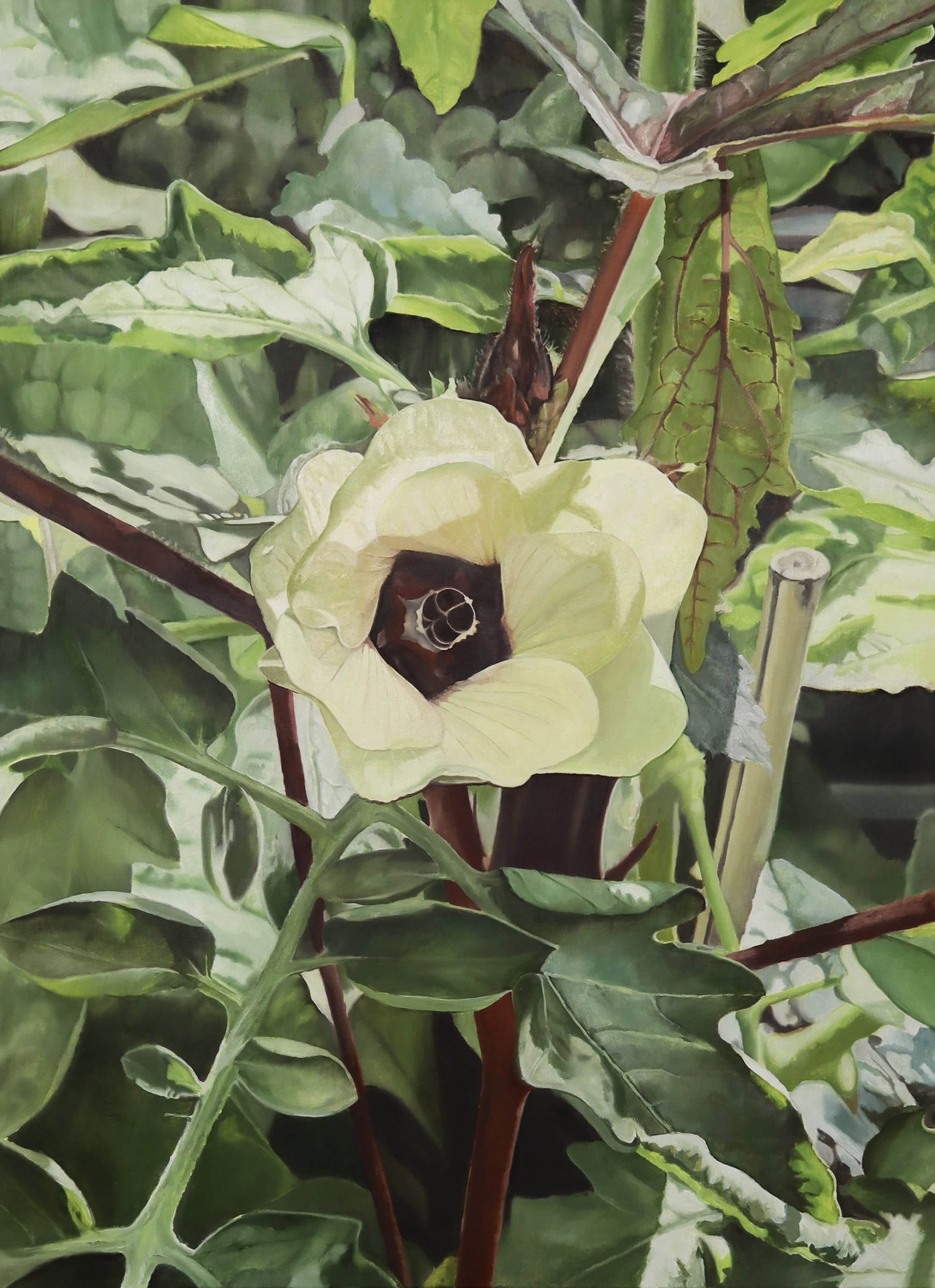 Okra (2023)