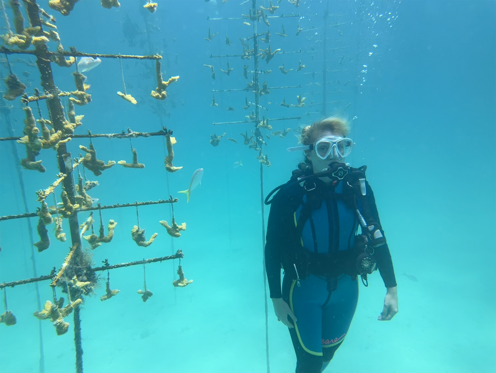 Randi Renate Diving
