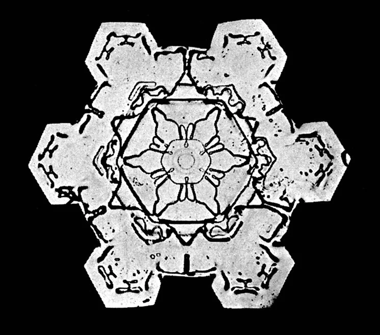 Bentley Image #1.JPG