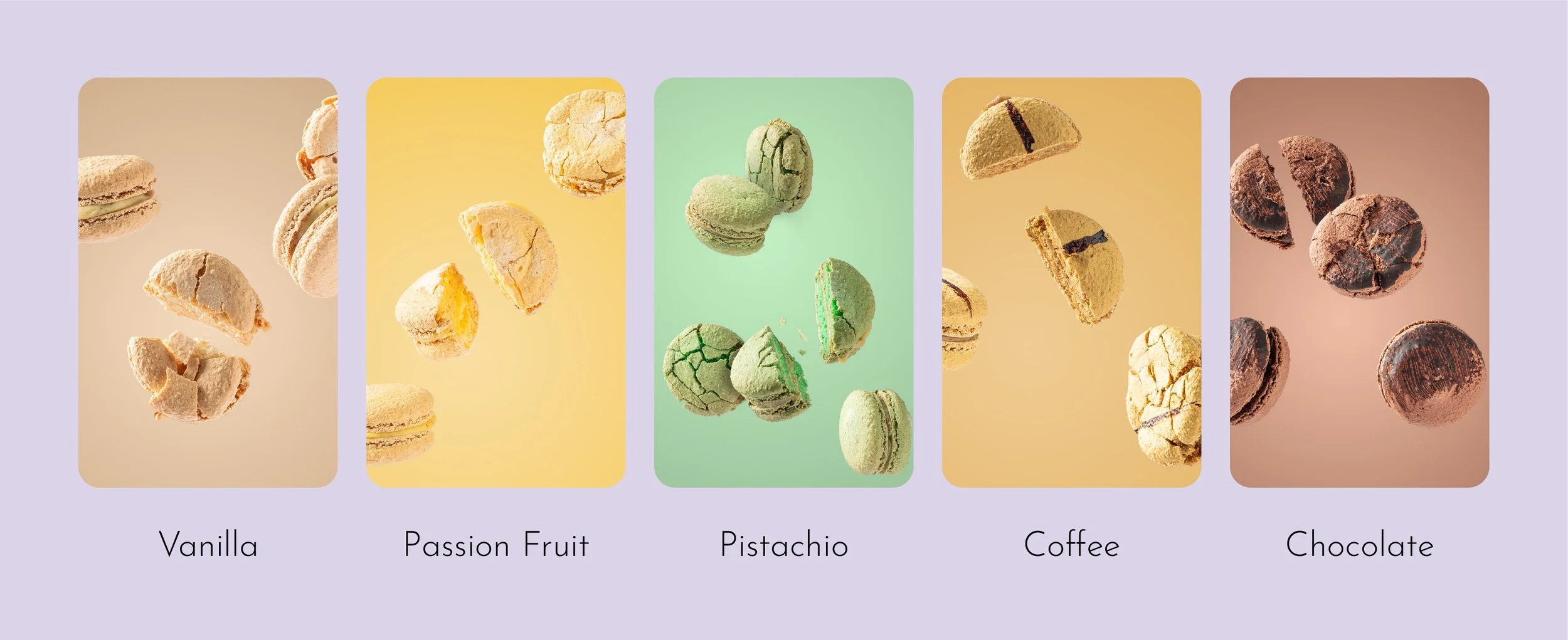 Tala Yazbeck _ IMG 8.jpg