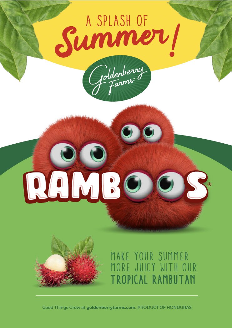 RAMBOOS merchandising.jpg