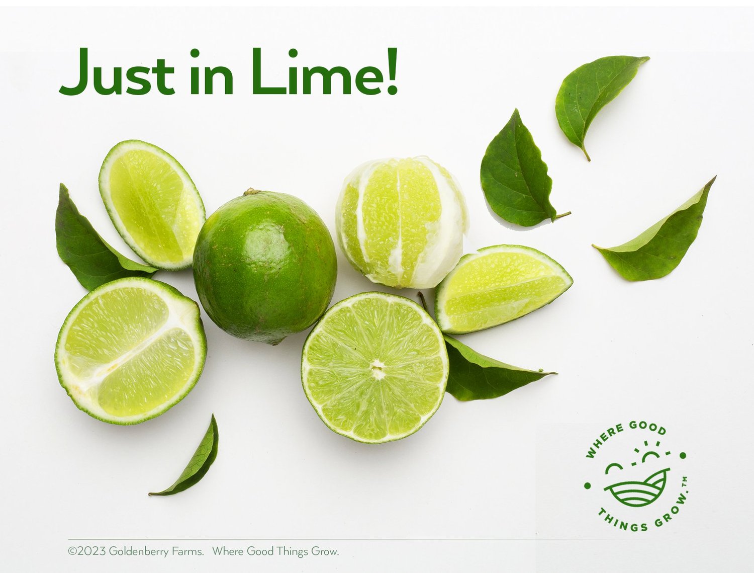 Colombian Tahiti Limes available in the US Market — Goldenberry Farms