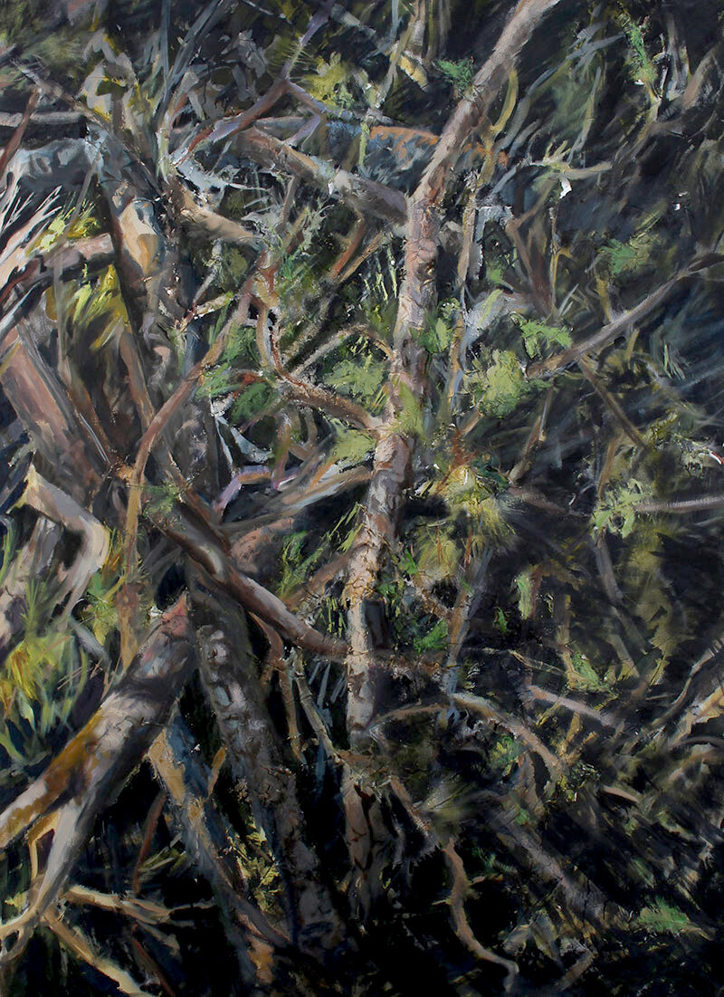 Development-VII-oil-on-canvas-54x72-Kurt-Thum AVAILABLE
